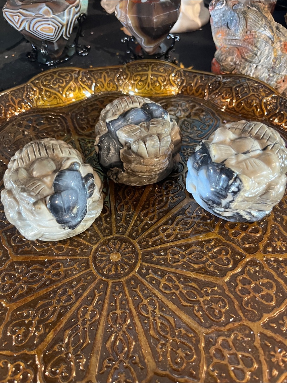 Volcano agate money toad